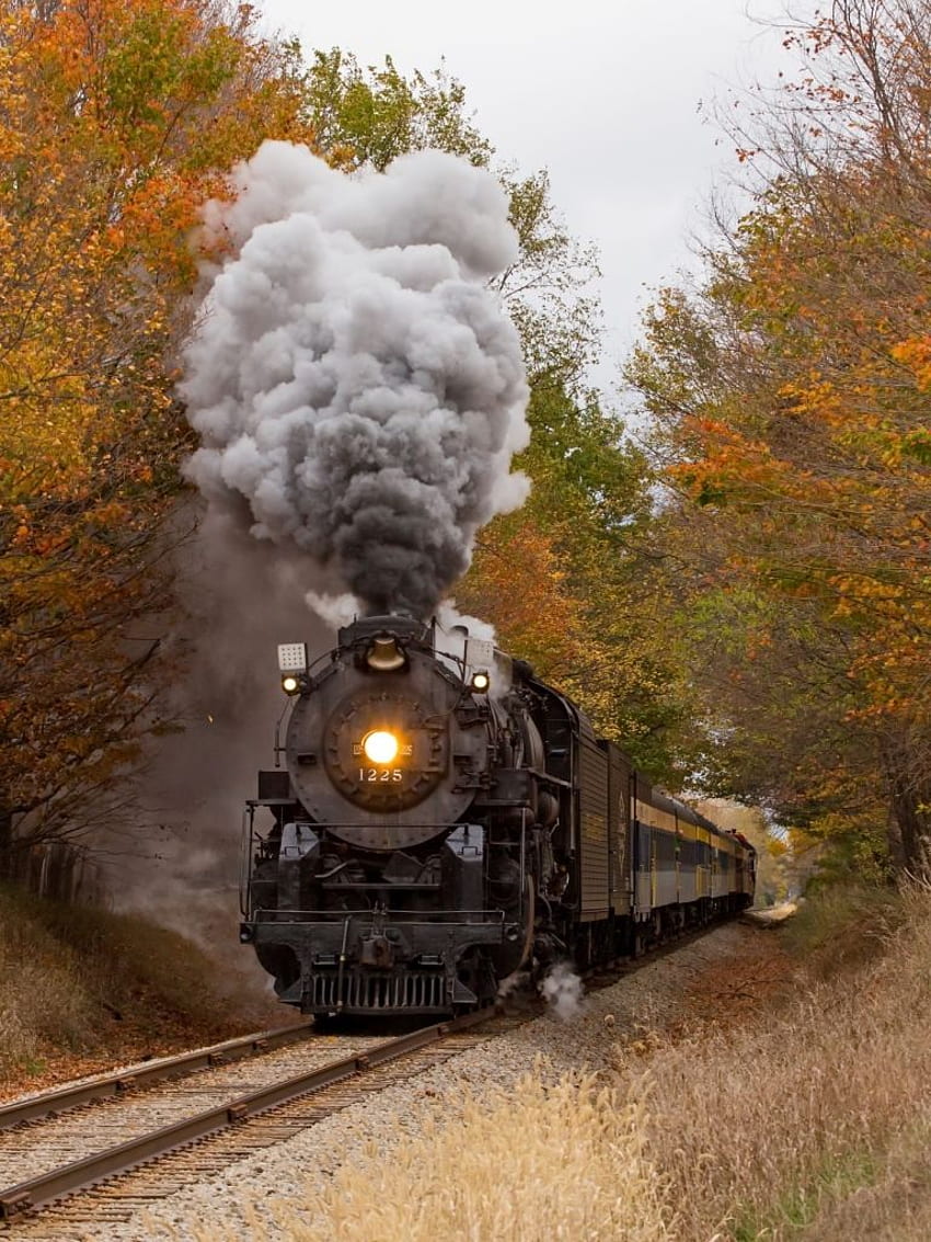 Veículos Trem Fall Locomotive Railroad. Trens com motor a vapor, Vintage Train Papel de parede de celular HD