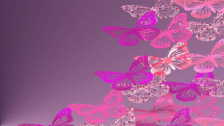 Neuer Schmetterling - Glitzernder rosa Schmetterlingshintergrund -, 2560X1440 Schmetterling HD-Hintergrundbild
