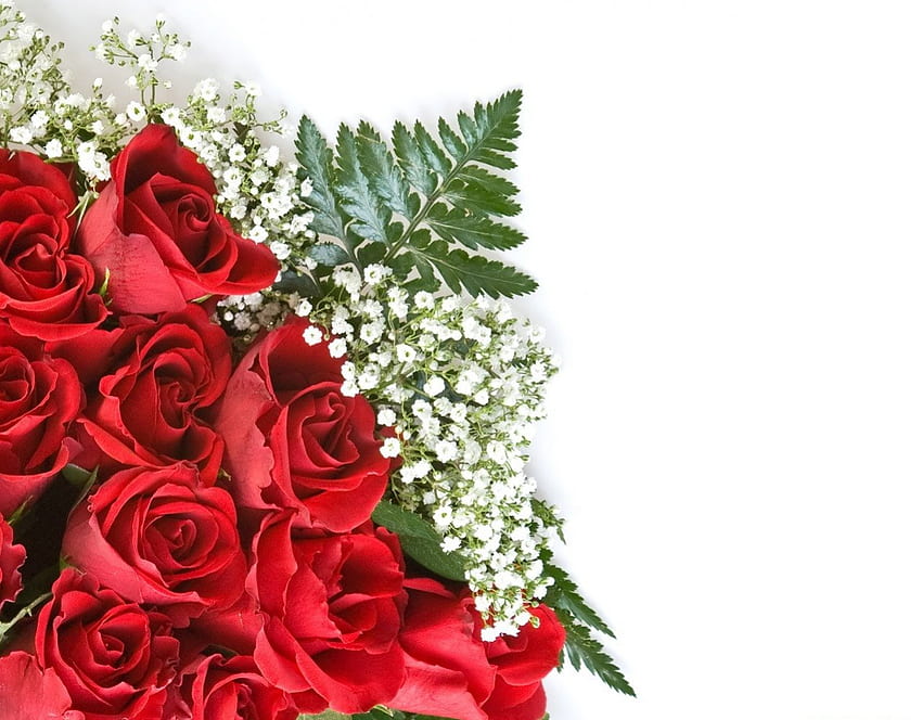 Roses pour charismatique, bouquet, feuilles, roses, pétales, rouges, roses rouges, belles, fleurs Fond d'écran HD
