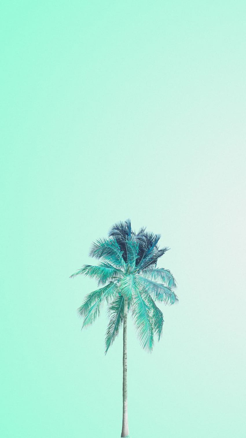 Minzgrüner Hintergrund, pastellgrüne Ästhetik HD-Handy-Hintergrundbild
