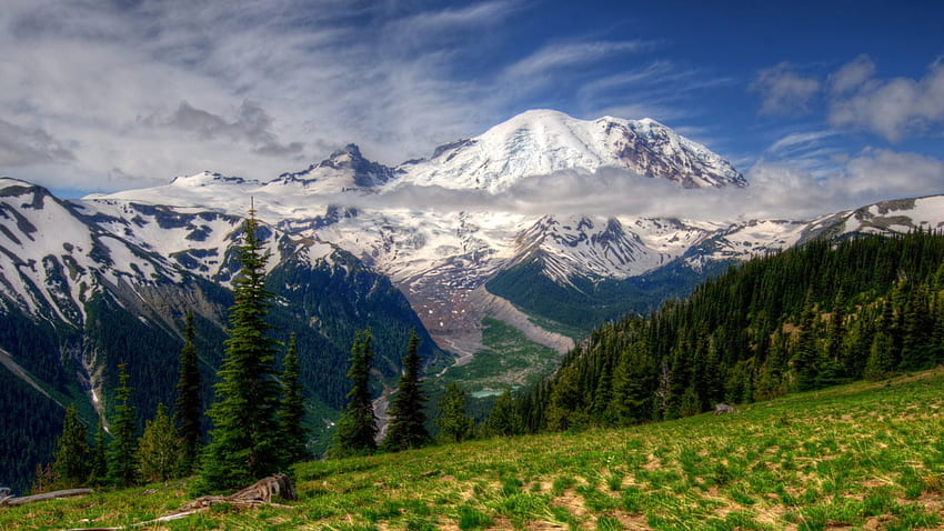 prato vicino al bellissimo mt. Rainier a Washington, valle, neve, nuvole, prato, montagna Sfondo HD