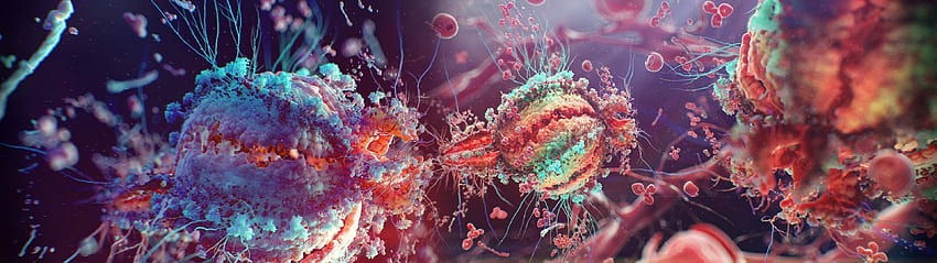 Virus medizinische Biologie Detailmedizin, Pflanzenbiologie HD-Hintergrundbild