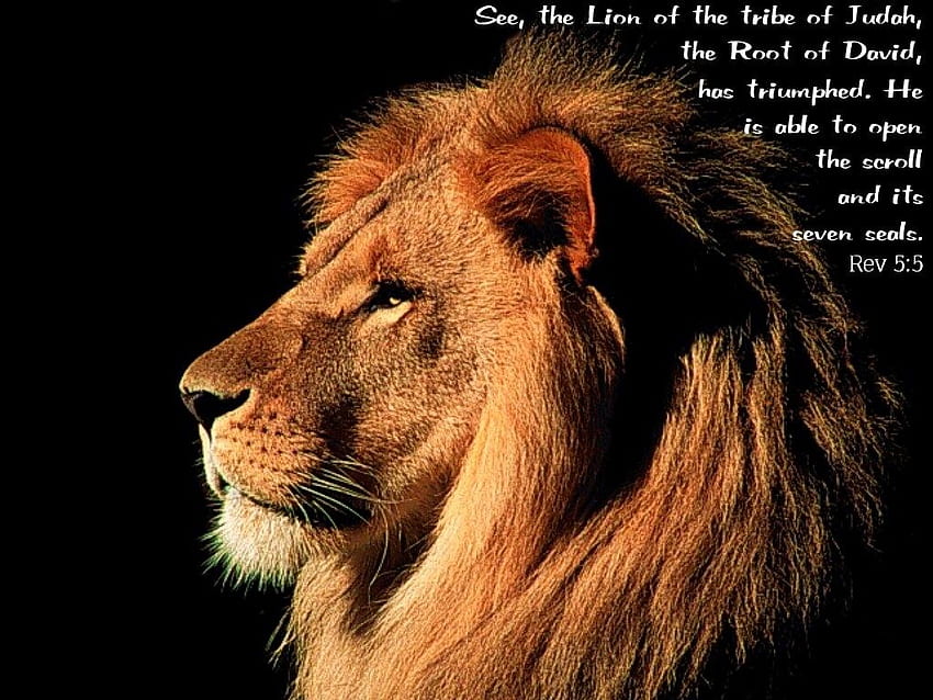 Citations bibliques de Juda. CitationsGram, Lion Motivation Bible Fond d'écran HD