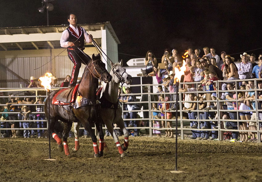 equine, fire, horses, night time, performer, rodeo, roman rider HD wallpaper