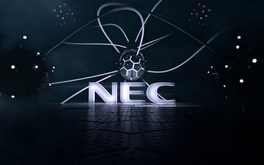 NEC . NEC, Fennec Fox Lazy und NEC LaVie HD-Hintergrundbild