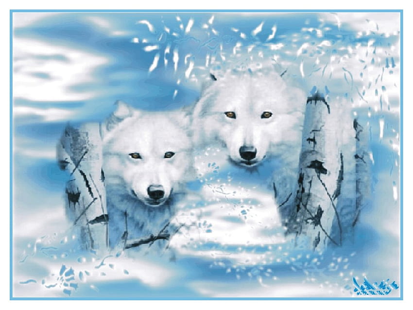 Loup blanc, loups blanc, бял вълк HD тапет