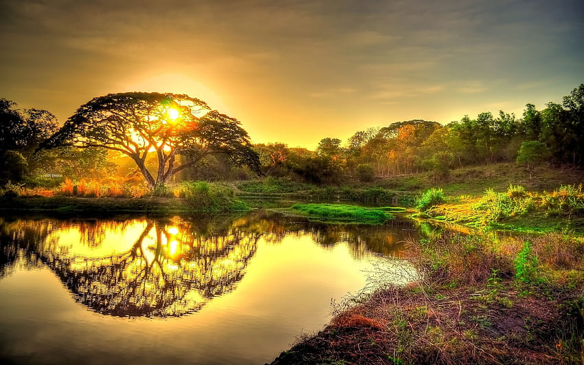 Sun (2560×1600). Nature , Tree Landscape , Landscape, Cool Landscape HD wallpaper
