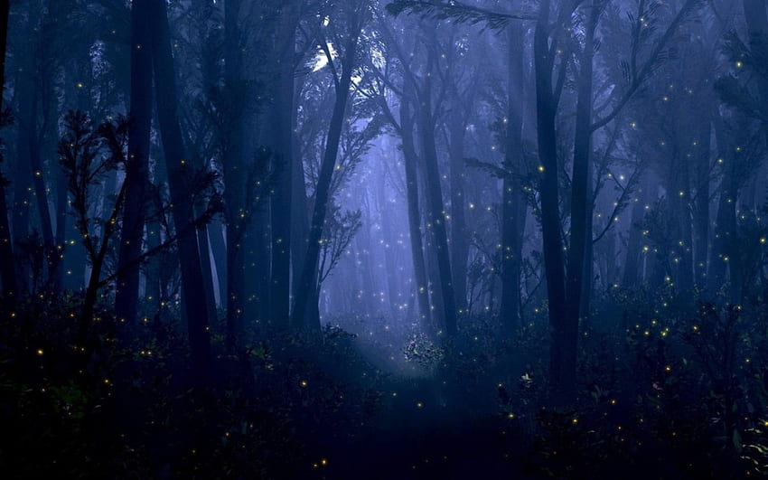 Fantasy Forest, arbres, luciole, fantaisie, forêt Fond d'écran HD