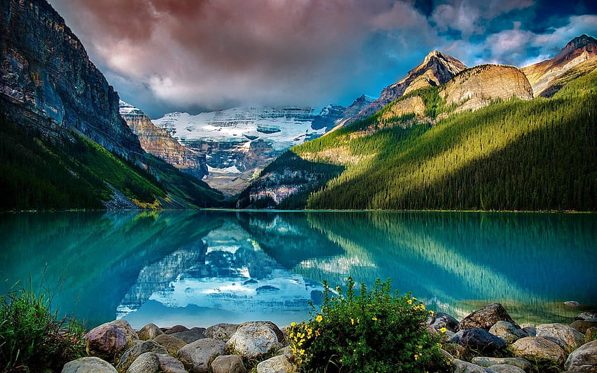 Lake Louise, Alberta, Canada, colline, Canada, bella, Alberta, serenità, tranquillo, montagna, lago, fiori di campo, riflessione, nuvole, cielo Sfondo HD