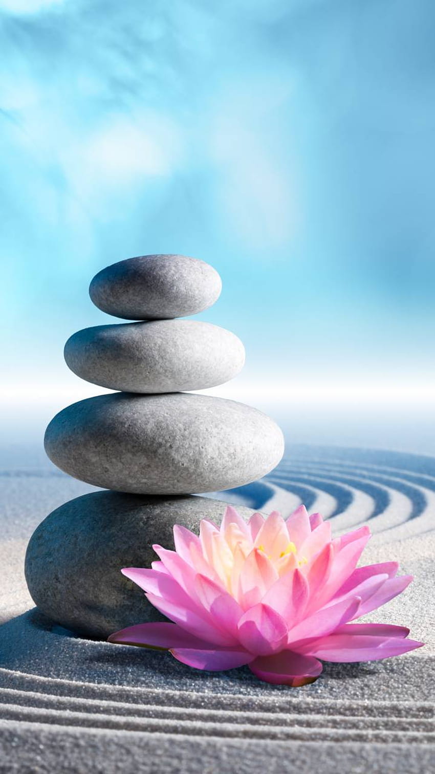 Zen Stones and Lotus, Zen Lotus Flower Pink HD phone wallpaper