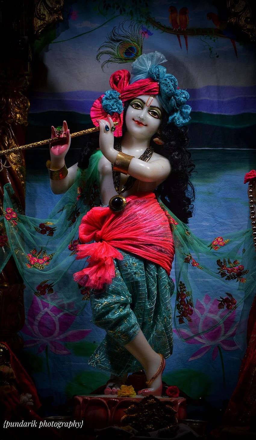 Jai Shree Krishna, mignon Krishna Fond d'écran de téléphone HD