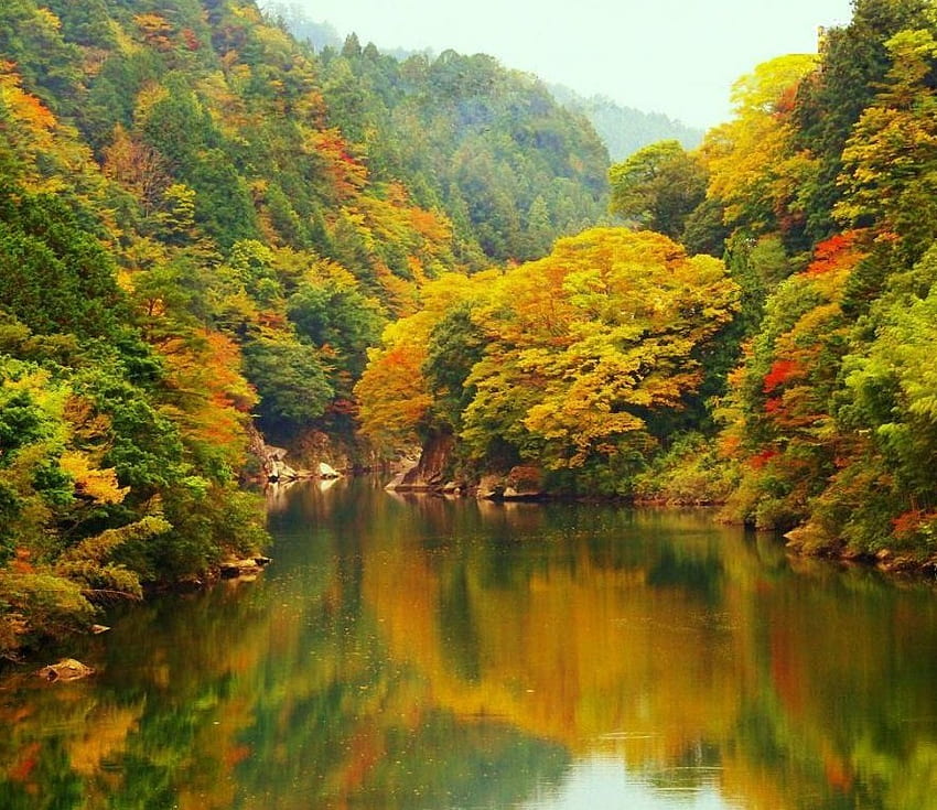 日本の秋の風景、反射、木、色、秋、森、自然、湖 高画質の壁紙