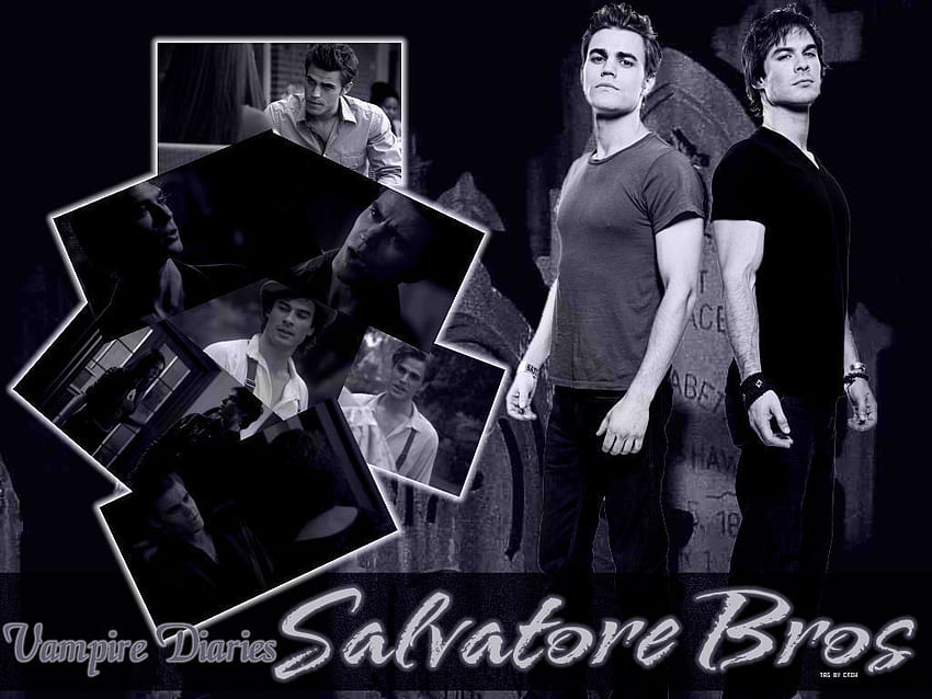 Damon&Stefan ✯ - Damon ve Stefan Salvatore, Salvatore Kardeşler HD duvar kağıdı