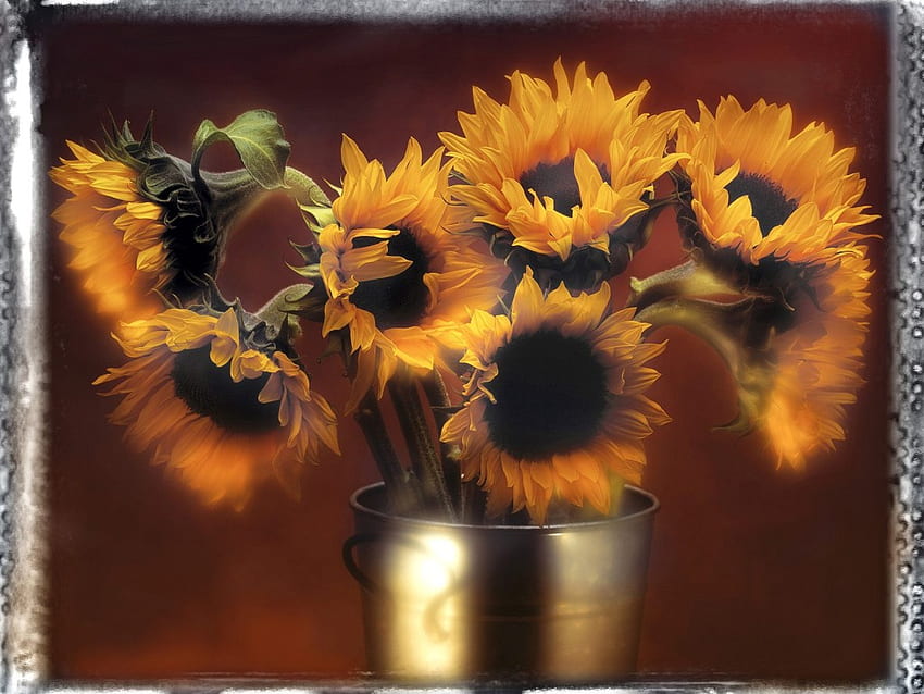perfect sun flowers, bouquet, aroma, gold, perfect, beauty, nice, yellow, shine, flowers, warm, sun HD wallpaper