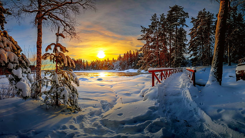 Matahari terbenam musim dingin, musim dingin, embun beku, salju, dingin, jembatan, indah, langit, matahari terbenam Wallpaper HD