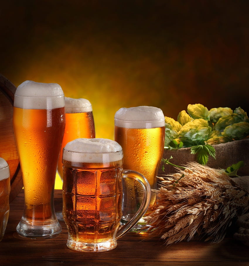 Gläser Bier, Gerstenähren und berauschende Nugs HD-Handy-Hintergrundbild