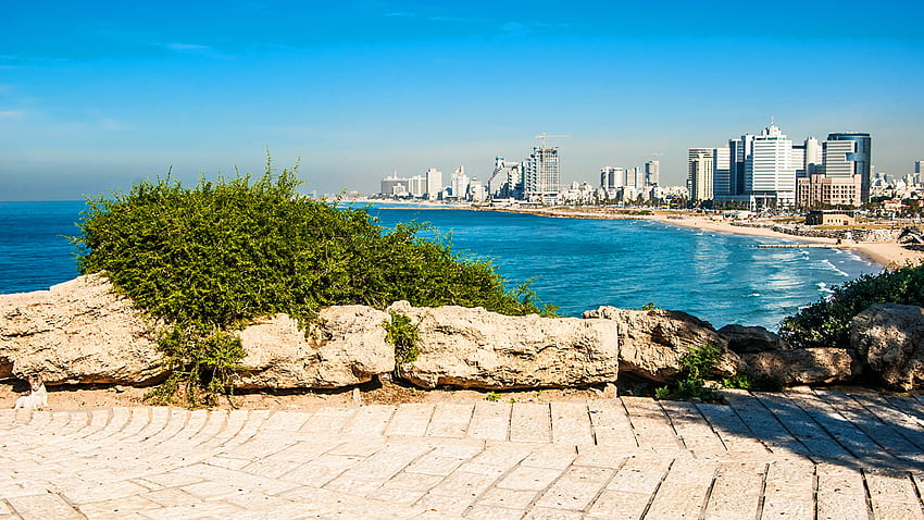 Israel Tel Aviv Sea Houses Cities HD wallpaper