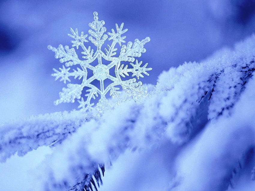 Snowflake Wallpapers  Top 25 Best Snowflake Backgrounds Download