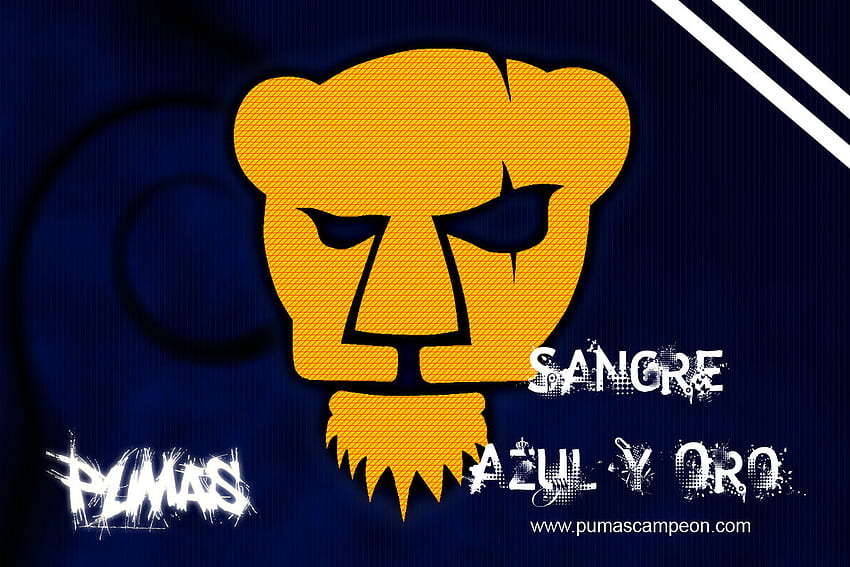 Awesome Pumas, Pumas UNAM HD wallpaper