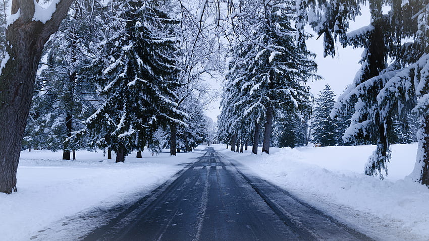 Зима, природа, дървета, сняг, път, зимен пейзаж HD тапет