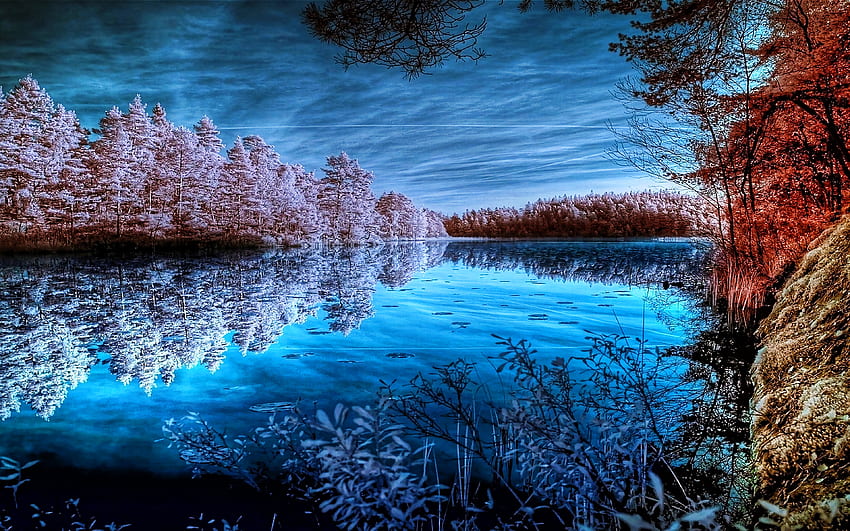 winter, , blue lake, forest, snowy forest, R, beautiful nature, snowy trees HD wallpaper