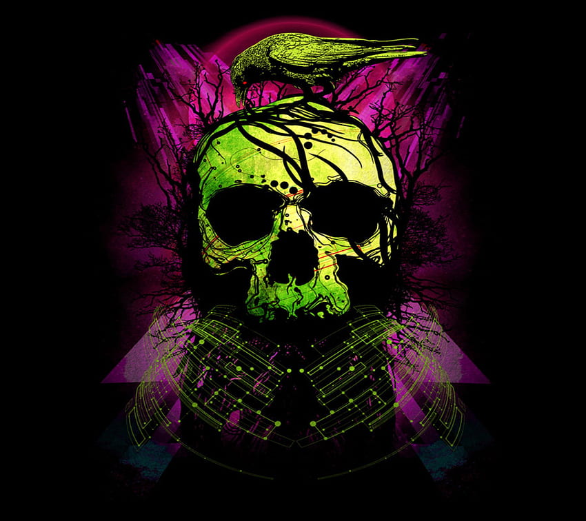 Skull Phone Background Skull Pink Skulls Hd Wallpaper Pxfuel 