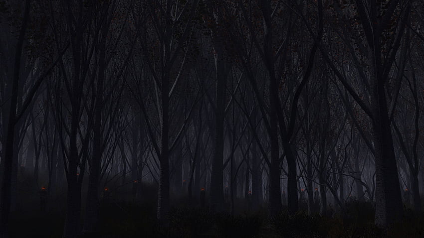 Preview forest, trees, background, dark HD wallpaper