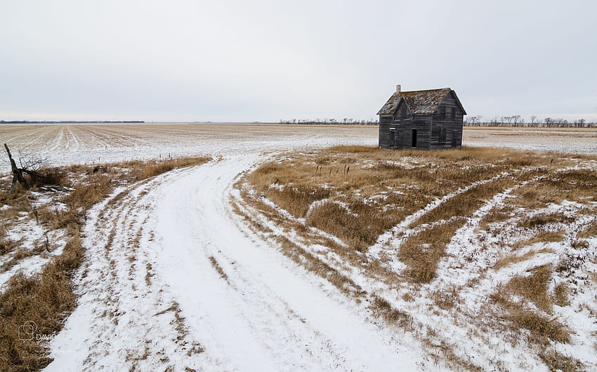 Winter in der Prärie David Quiring – Visueller Geschichtenerzähler, Prärielandschaft HD-Hintergrundbild