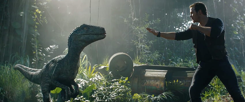 Velociraptor Jurassic Park Fallen Kingdom papel de parede HD