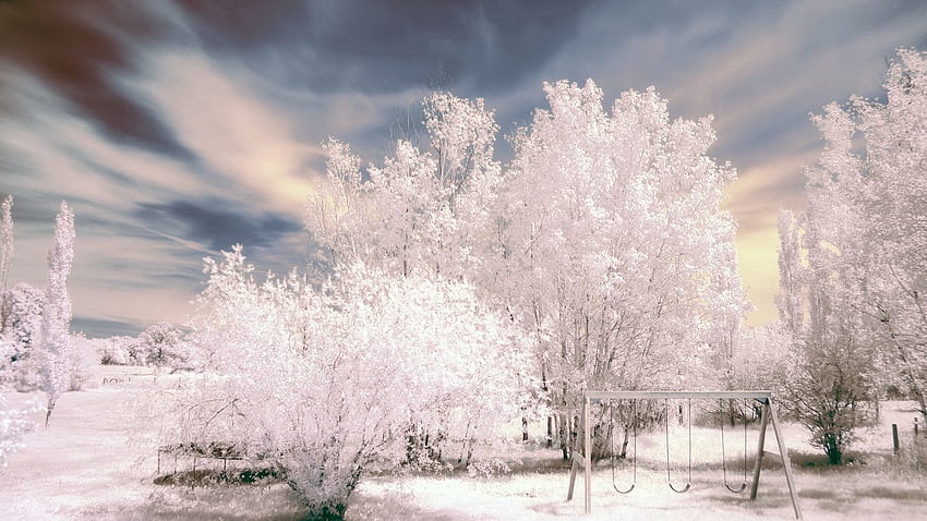 Winter, Nature, Trees, Snow, Park, Frost, Hoarfrost, Swing HD wallpaper