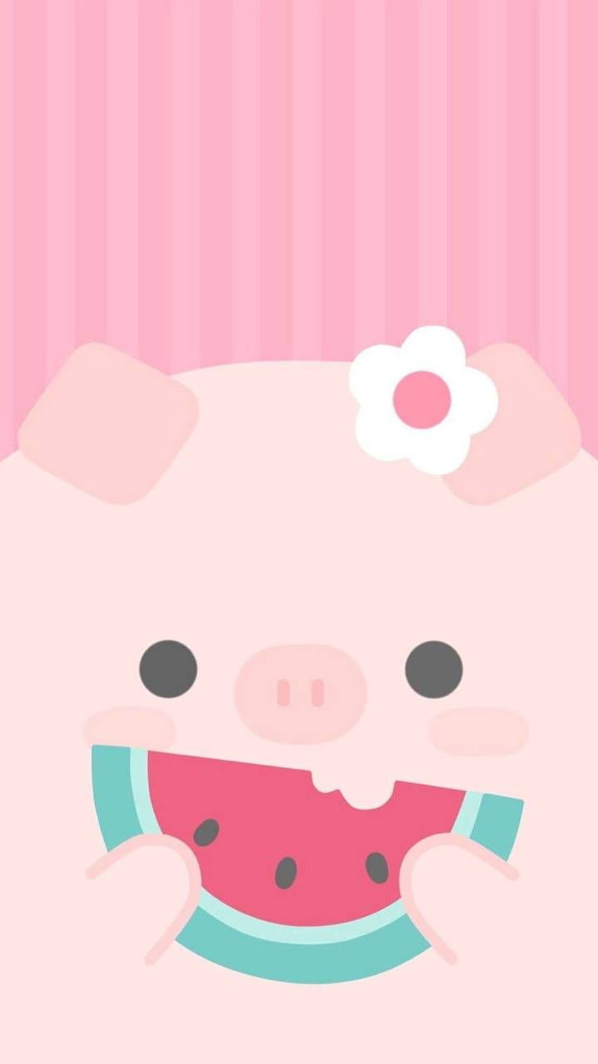 Kawii Pig, Pig Nose HD phone wallpaper