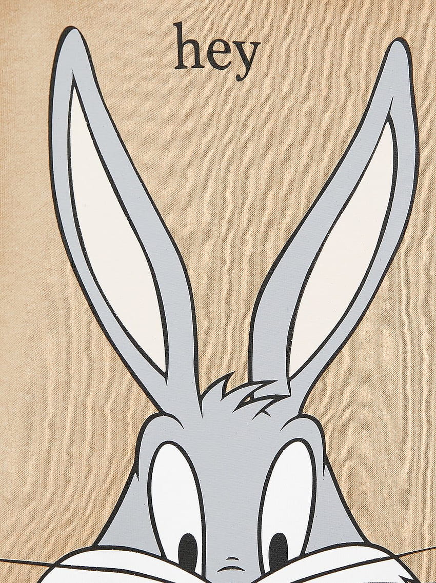 Free download HD Bugs Bunny Wallpapers 1920x1080 for your Desktop Mobile   Tablet  Explore 26 Bugs Bunny Cartoon Wallpapers  Bugs Bunny Wallpapers  Bunny Wallpaper Bugs Bunny Wallpaper