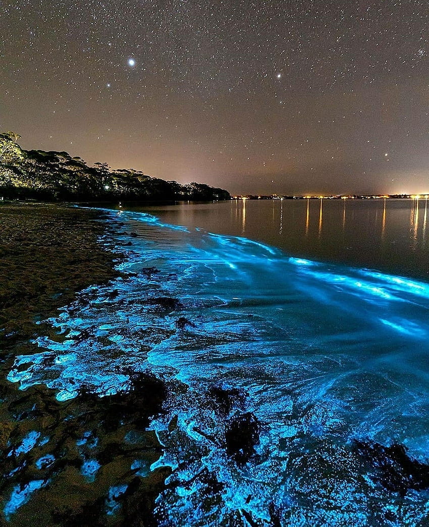 Bioluminescent Ocean, Sea Sparkle, Bioluminescence, Jervis Bay, Sea, Background -, Sparkly Ocean HD phone wallpaper