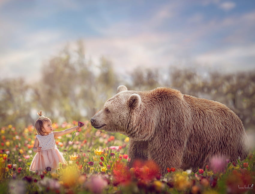 Smell the flower, animal, girl, copil, summer, creative, fantasy, bear, flower, tara lasher, child HD wallpaper