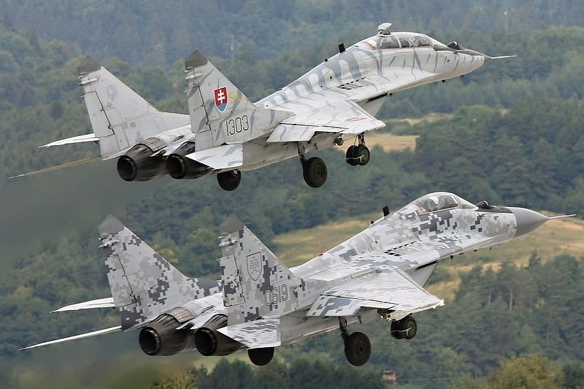 Due jet da combattimento grigi, Mig 29, aerei militari, camuffamento, MiG-29 Sfondo HD