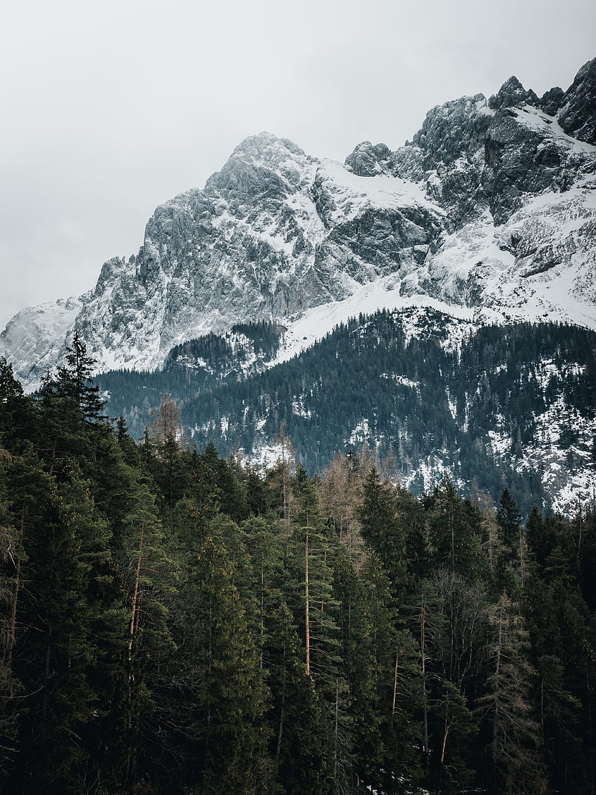 자연, 나무, 산, 꼭지점, 상판, 눈 덮힌, 갇힌, 독일 HD 전화 배경 화면