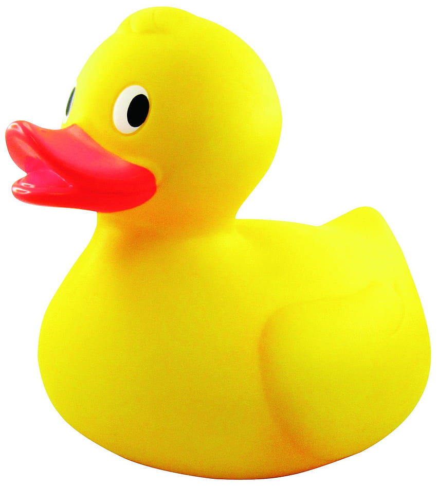 Toy Yellow Duck , . All For HD phone wallpaper | Pxfuel