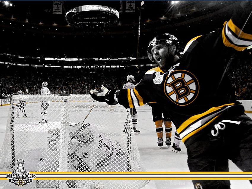 Stanley Cup Champions: David Krejci - Boston Bruins HD wallpaper