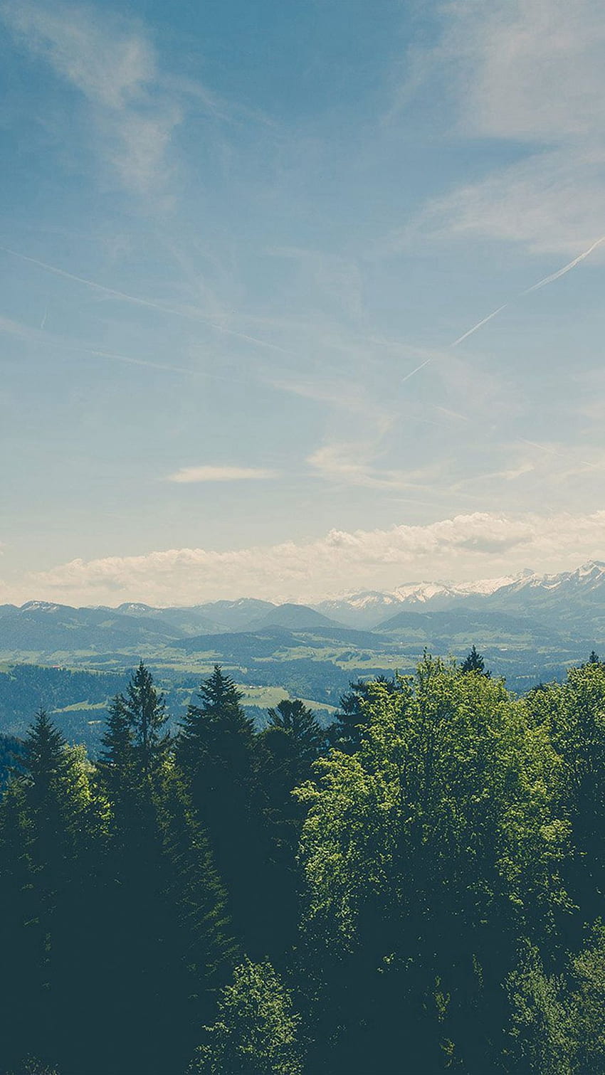 Mountain Valley Pine Canopy Vintage iPhone -, Gunung Retro wallpaper ponsel HD