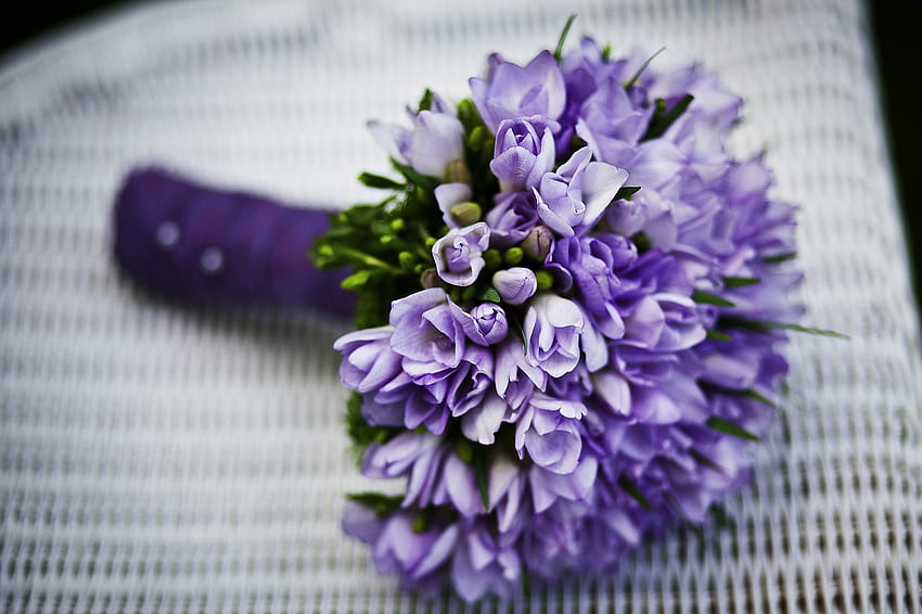 purple, bouquet, nature, flower HD wallpaper