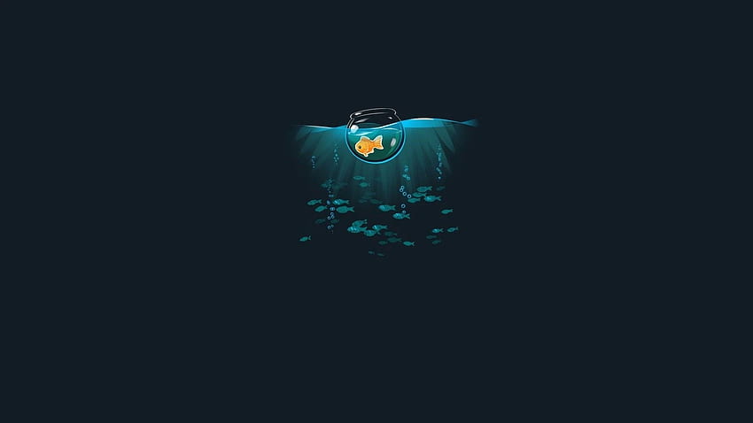 Goldfish. Fish illustration, Computer ,, Minimal Ocean HD wallpaper