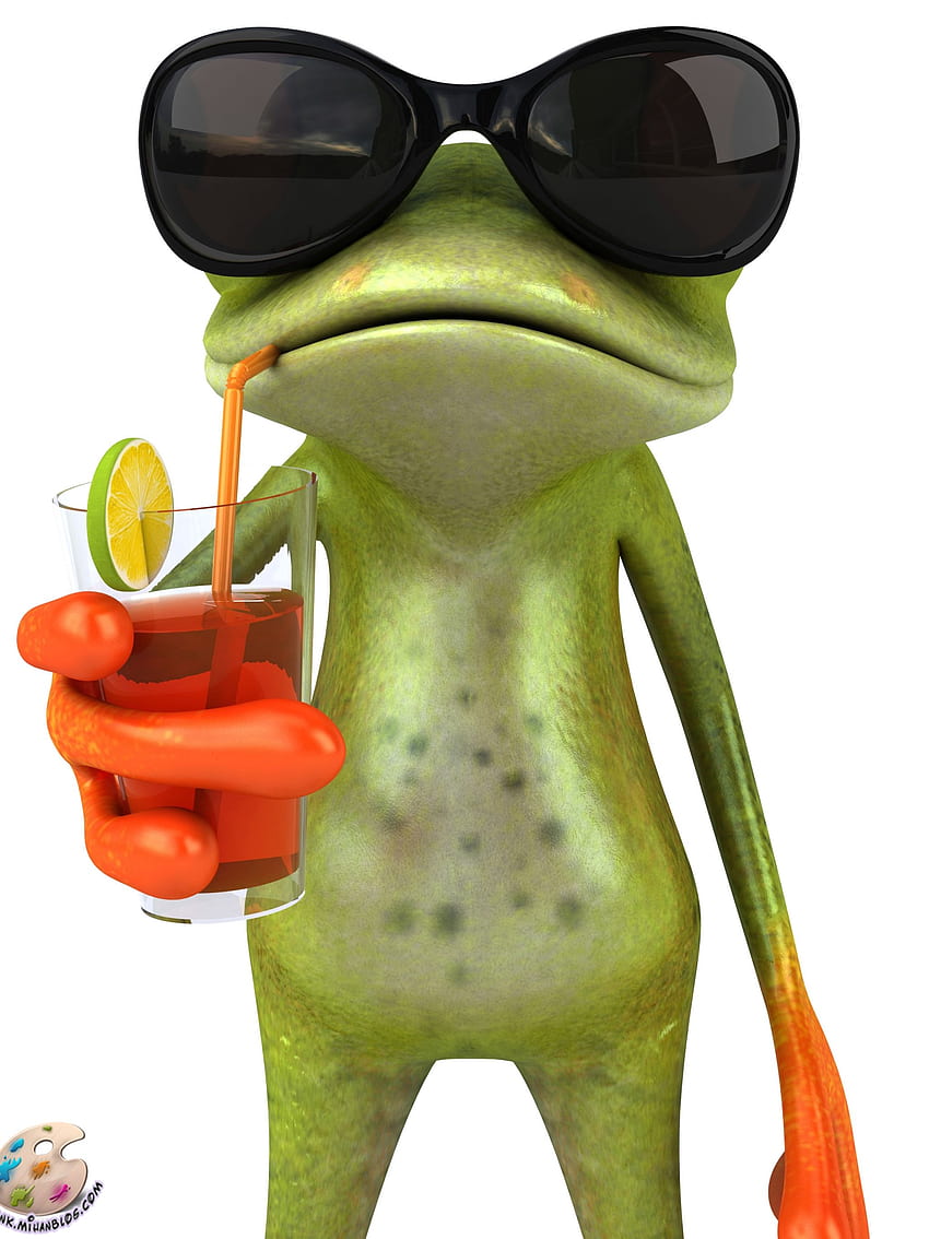Śmieszne żaby [] na telefon komórkowy i tablet. Przeglądaj zabawną żabę. śliczna żaba, żaba valentine tło Tapeta na telefon HD