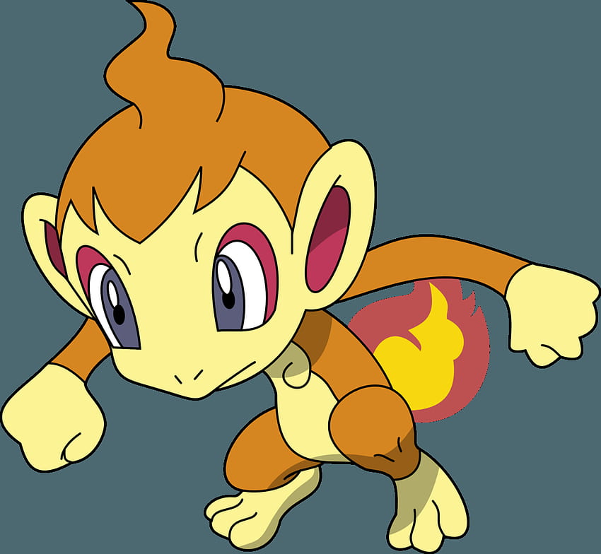 Chimchar Hd Wallpaper 