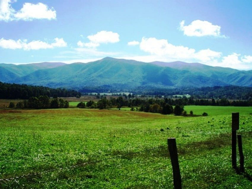 Smoky Mountains, Felder, Natur, Berge HD-Hintergrundbild