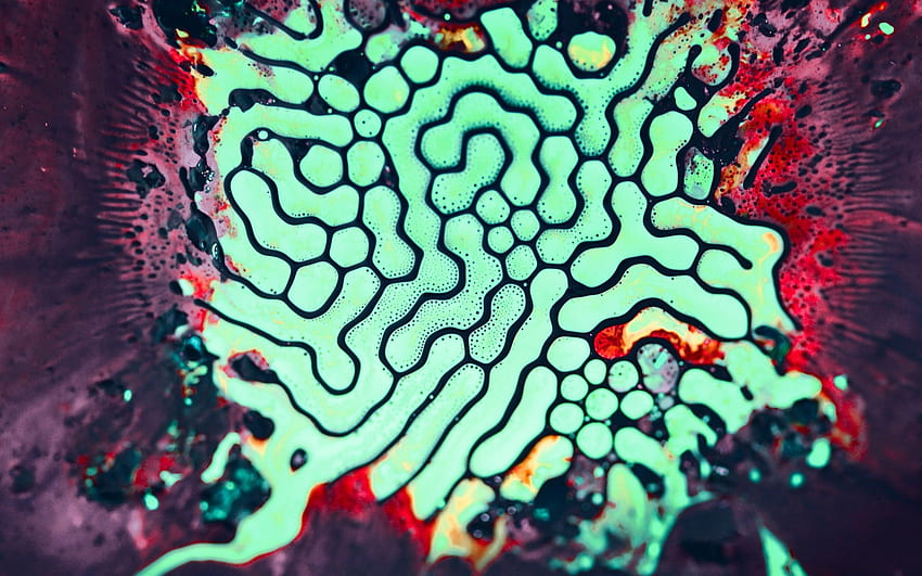 Geometris, Close Up, Bakteri, Mikroskopis Wallpaper HD
