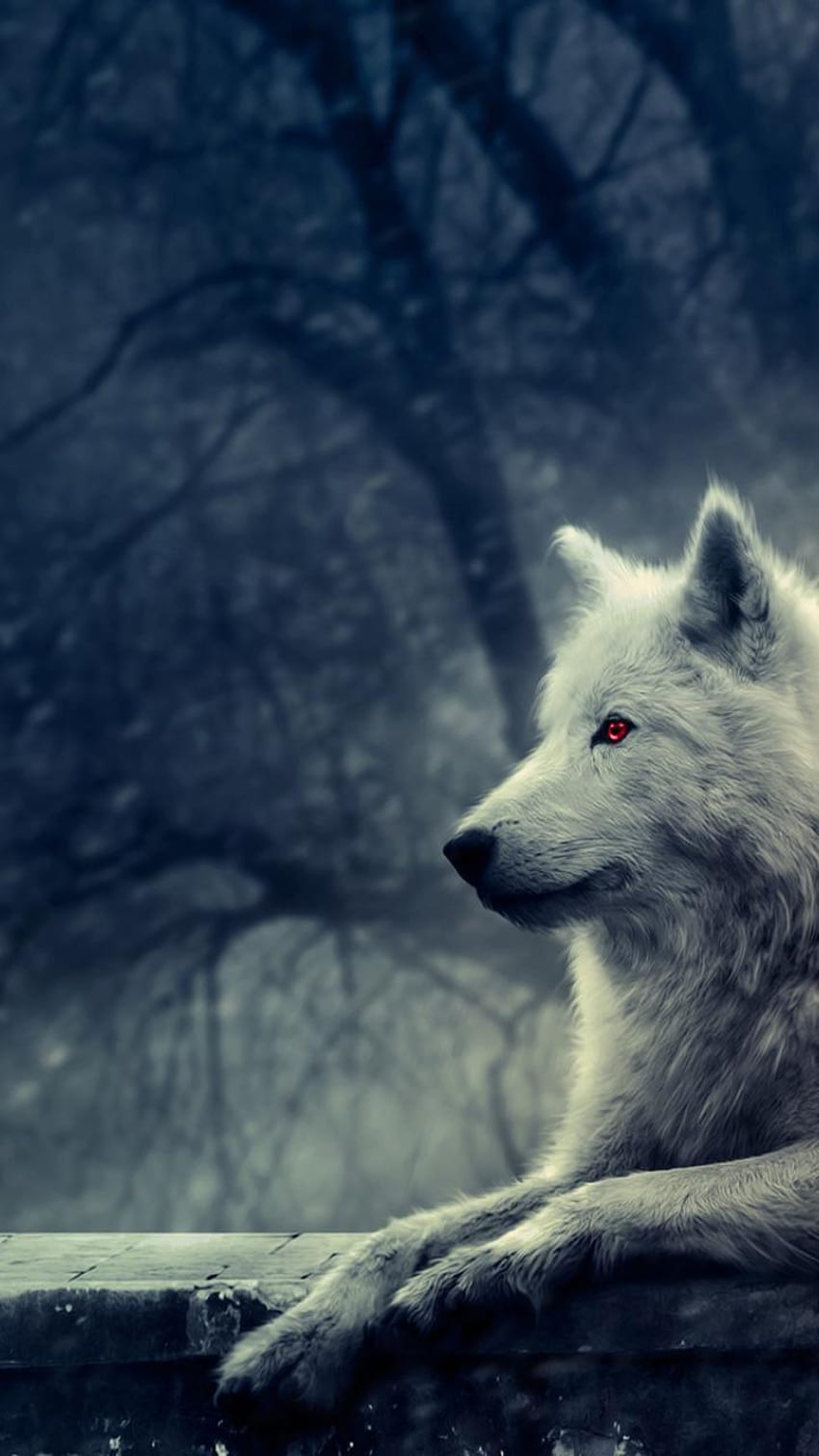 Dire Wolf Android HD phone wallpaper