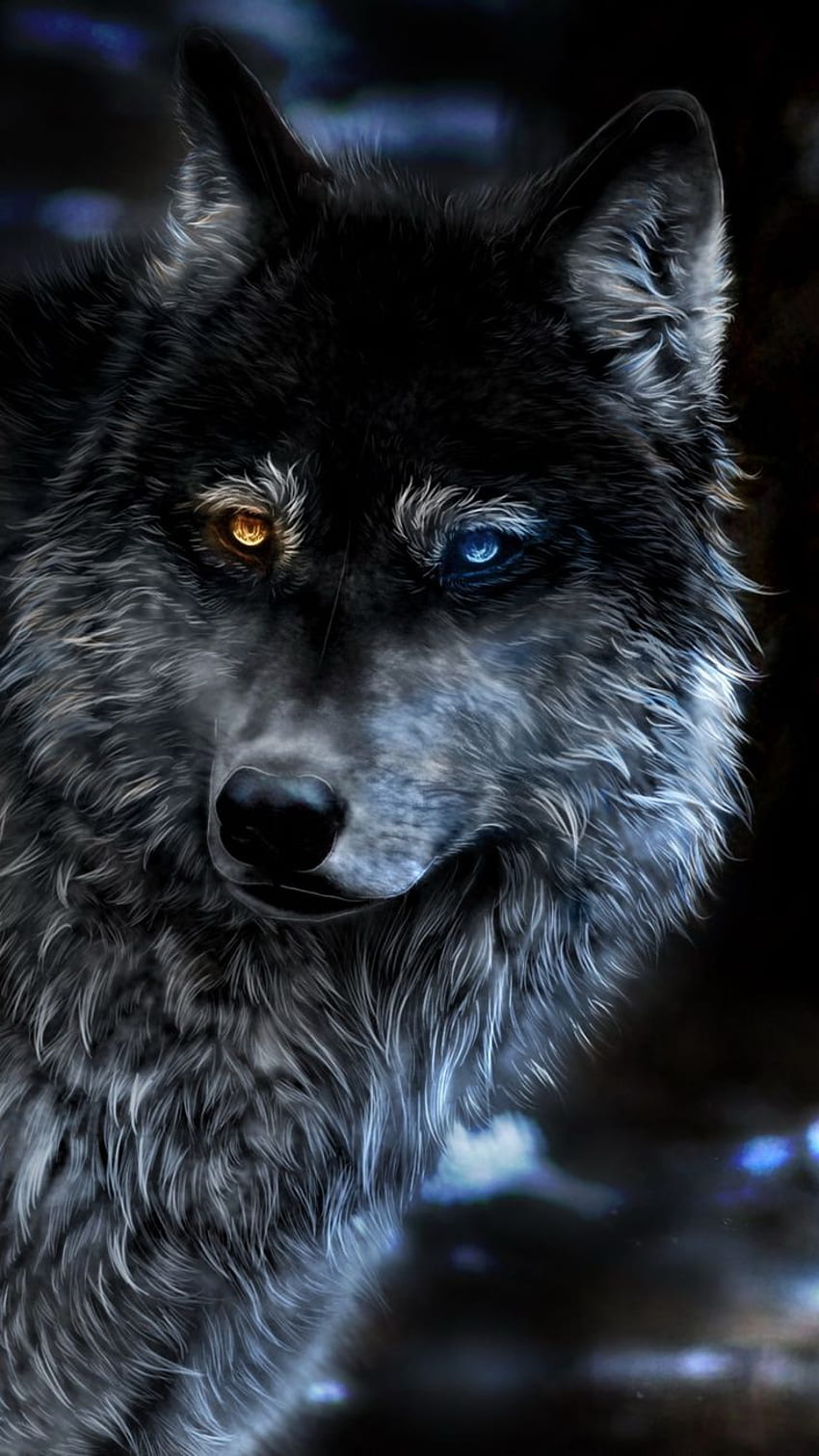 Wolf Heterochromia Fantasy In Resolution. Wolf , Wolf dog, Wolf HD ...