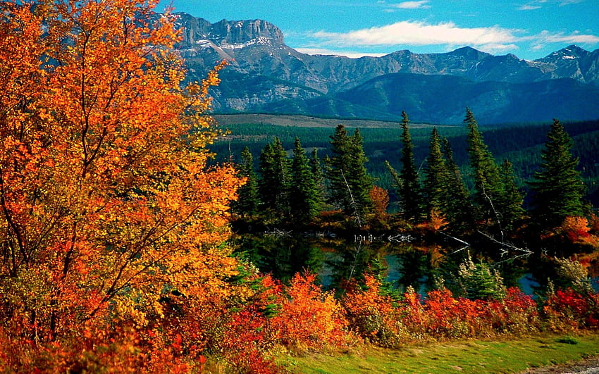 Parcs d'attractions : PARC NATIONAL JASPER Montagnes Rocheuses Alberta, Amérique du Nord Fond d'écran HD