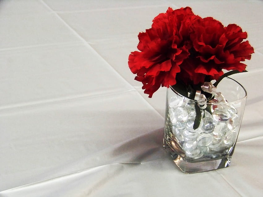 Kesederhanaan!, vas, benda mati sederhana, merah, bunga Wallpaper HD
