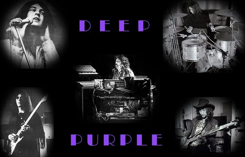 Deep purple . HD wallpaper